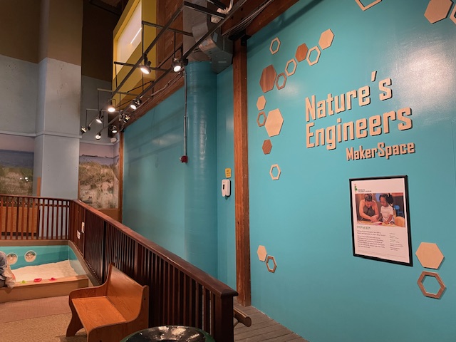 Brooklyn Children Museum - Project 