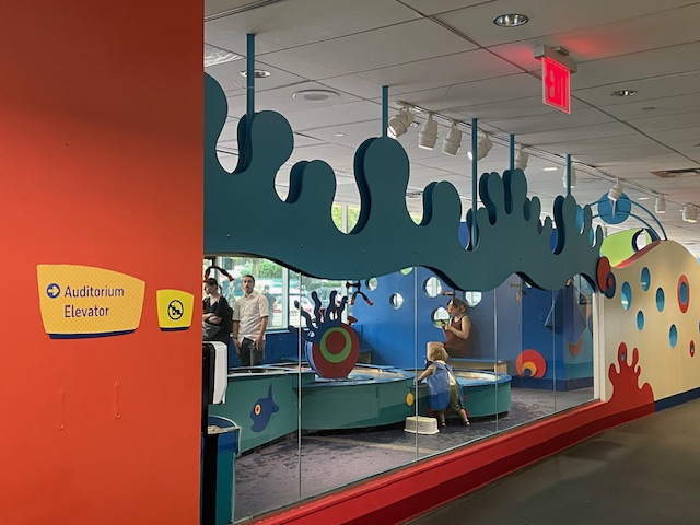 Brooklyn Children Museum - Project 