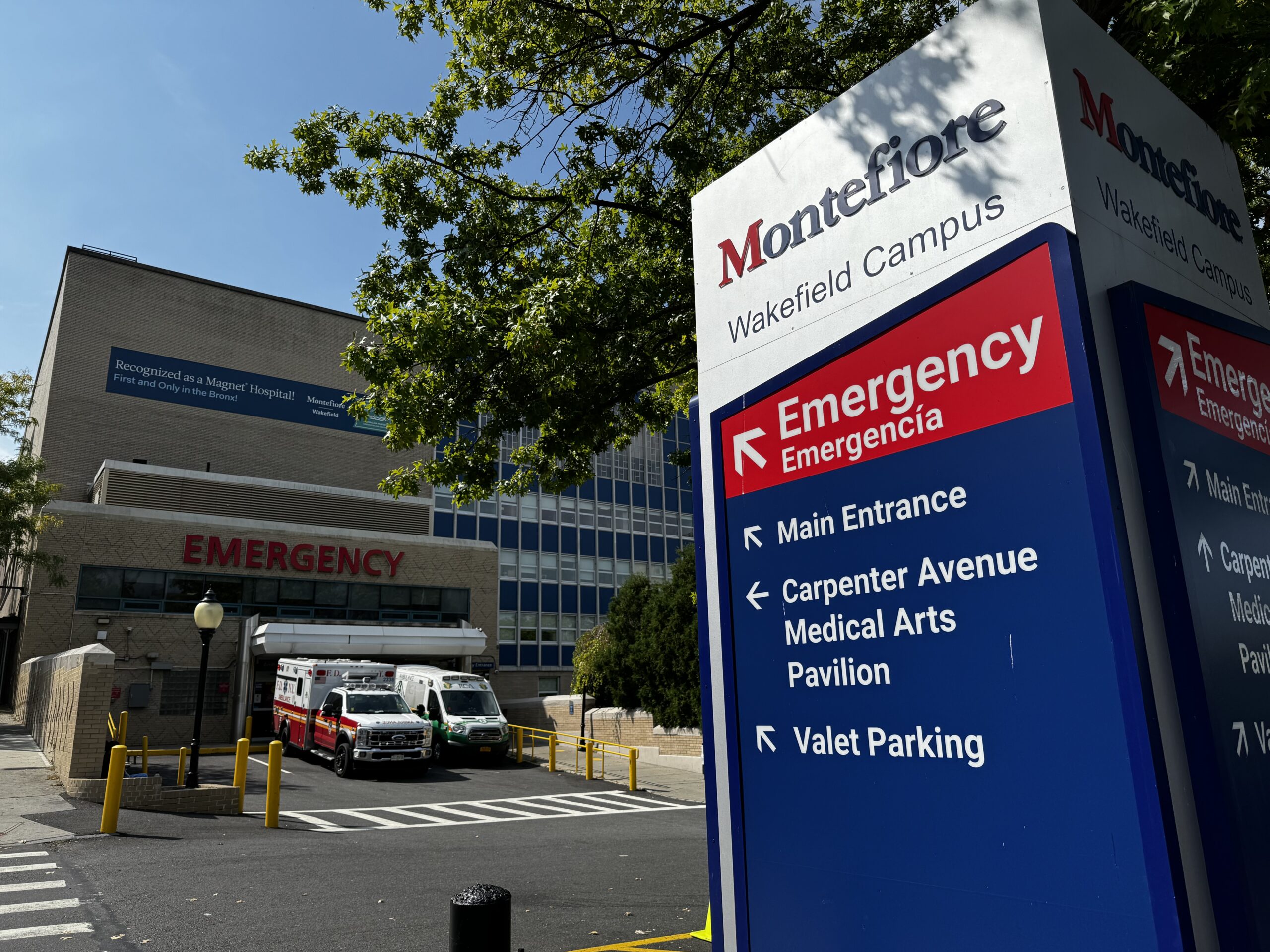 Proyecto - Montefiore Wakefield Hospital